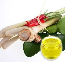 GALANGAL OIL - Rakesh Sandal Industries